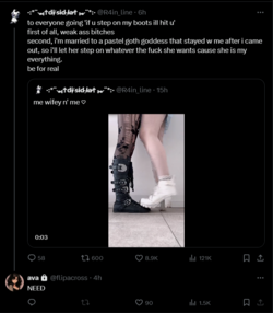 FireShot Capture 2036 - Posts with replies by ava (@flipacross) _ X - twitter.com.png