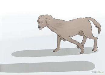 Wikihow.png