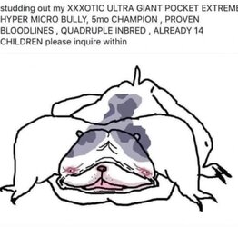 4b3.jpg