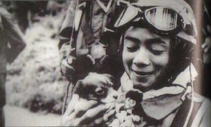 kamikaze puppy1.jpg