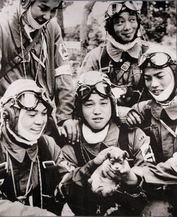 kamikaze puppy.jpg