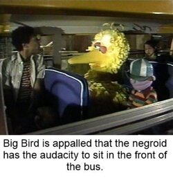 person-big-bird-is-appalled-negroid-has-audacity-sit-front-bus.jpg