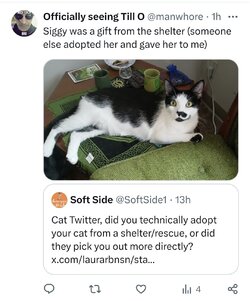 Screenshot_20240608-031831-cleaned.jpg