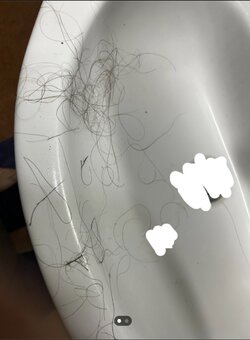 IMG_3518.jpeg
