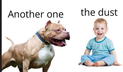 IMG_4381.jpeg