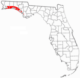 Emerald_Coast_Florida.png