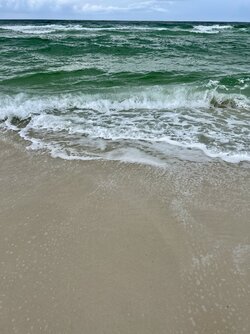 IMG_7417.jpg