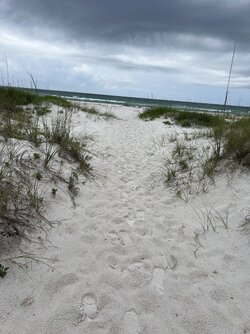 IMG_7415.jpg