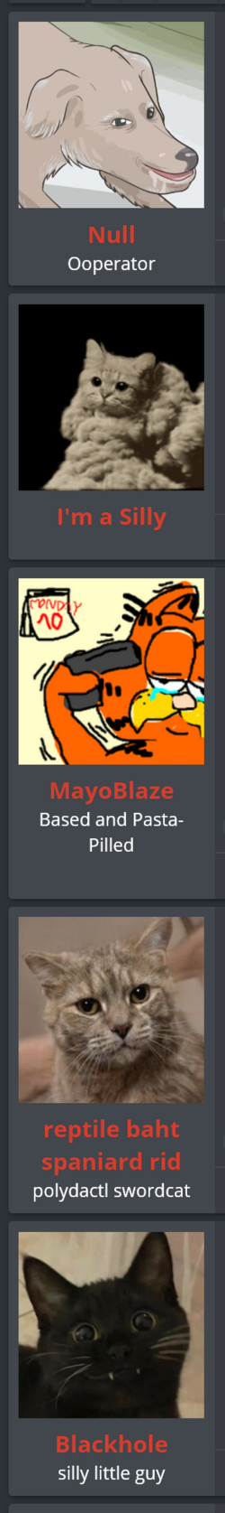 bingo.png