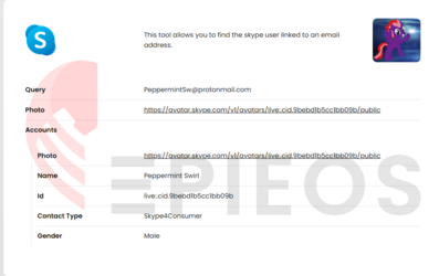 epieos.com__q=PeppermintSw%40protonmail.com&t=email.png