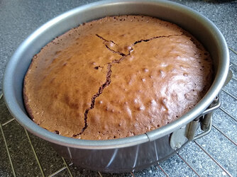 cake1.jpg