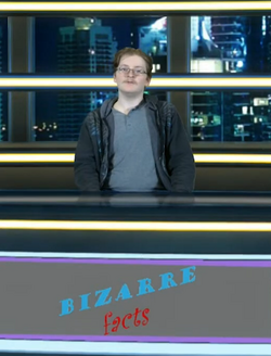 1717946930334.png