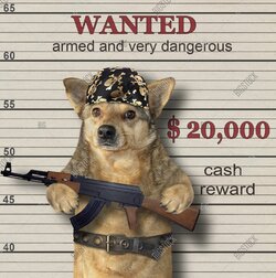 you messed with the wrong slobber mutt fool.jpg