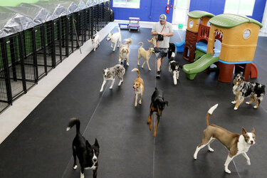4 Paws Pet Resort 1.jpg