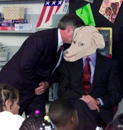 mrnull.png