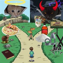 paths-ceiling-cats.jpg