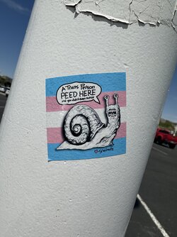 IMG_0372.jpeg