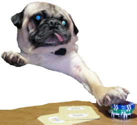 1718059994384.png