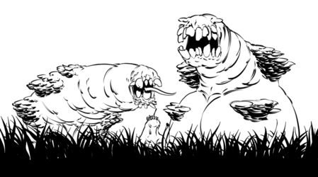 gf24r5sf.png