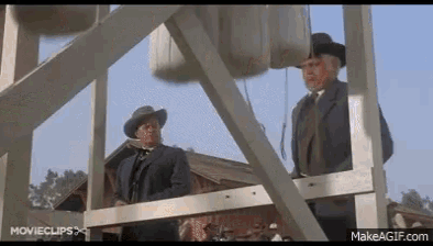 HG481 - Copy.gif