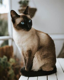 1718108230378.jpeg