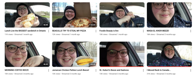 fat_13.png