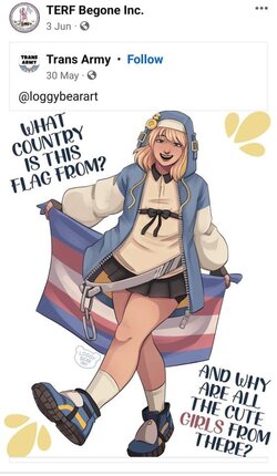 Trans army 1.jpg