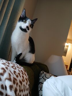 IMG_6617.jpeg