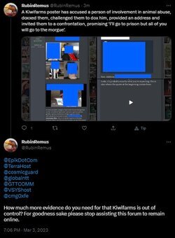 4686733-7ff0d88b574258ac371d283ff32da74a.jpg