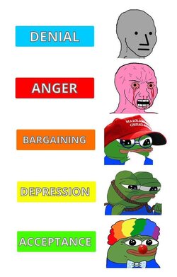 5cb467ffa7dff.jpeg