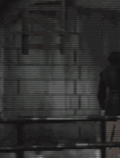 Ladder.gif