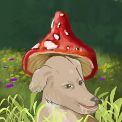 null.is.a.fun.guy.png