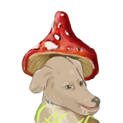null.is.a.fun.guy.0.png
