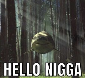 hello nigga.jpg