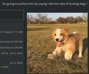 1718275576369.png