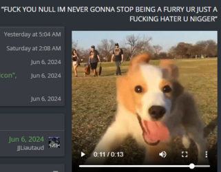 dog.png