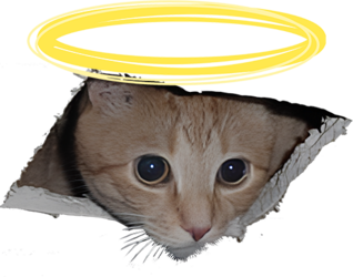 5741592-51b1d9ae1f683b5cca9352790dbe9a20.png
