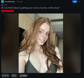 Dry-Bid6657_SoTrad_01.png