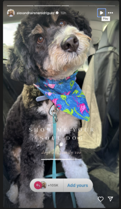ar_05.png