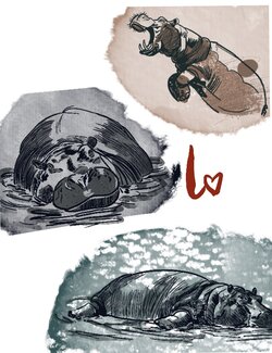 Hippo(1).jpg