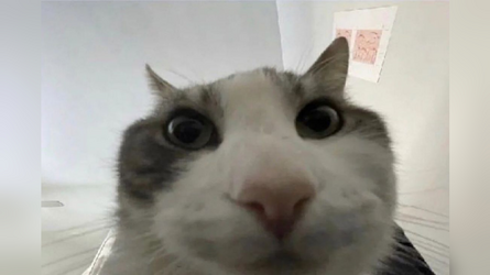 1718365320785.png