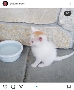 MEWLERBAB - Copy.jpg