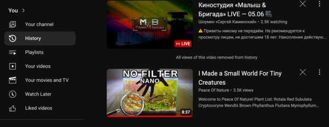 screenshot-www.youtube.com-2024.06.15-20_49_05.png