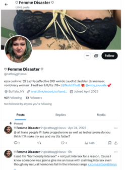 Screenshot 2024-06-15 at 11-40-01 ♡ Femme Disaster ♡ (@catboygirlsrus) _ X.png