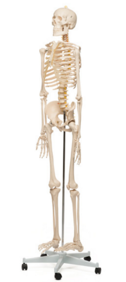 1718510358502.png