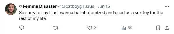 Screenshot 2024-06-16 at 11-13-26 (1) Posts with replies by ♡ Femme Disaster ♡ (@catboygirlsru...png