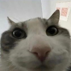 1718562196949.png