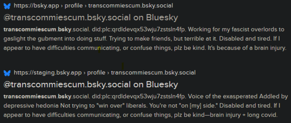 1718617304820.png