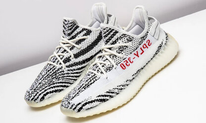 Zebras.jpg