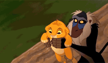 tweb6hvw.gif